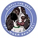 Paper Russells Simply The Best Springer Spaniel Car Magnet