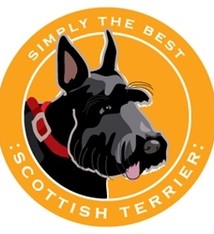 Paper Russells Simply The Best Scottish Terrier Car Magnet