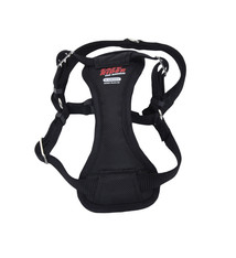 Coastal Easy Rider Car Harness