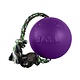 Jolly Pet Jolly Pet Purple Romp N Roll