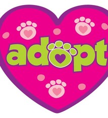 Dog Speak Dog Speak Decal - Adopt