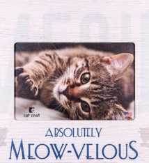 Dog Speak Dog Speak Horizontal Wood Frame - Absolutely Meow-velous