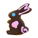 Bone Bons Easter Bunny Bakery Cookie 3"