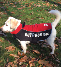 Ethical Ethical All Weather Red Jacket