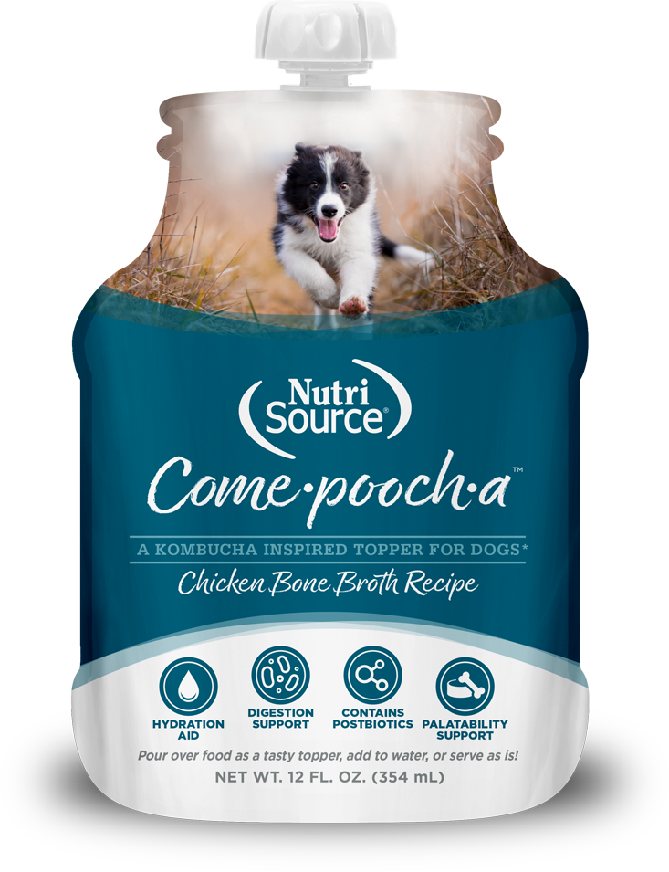 Nutrisource Nutrisource Come-Pooch-A, Chicken Bone Broth Recipe 12oz