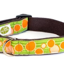 Earth Dog Earth Dog Zander Hemp Adjustable Collar