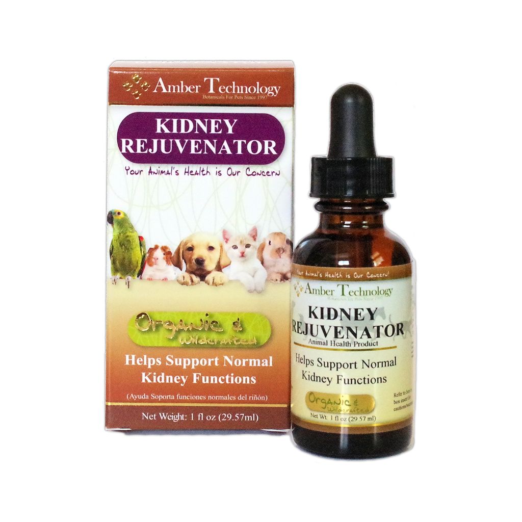 Amber Naturalz Amber Naturalz Kidney Rejuvenator