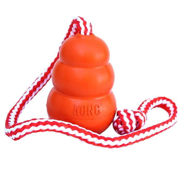 Kong Kong Aqua