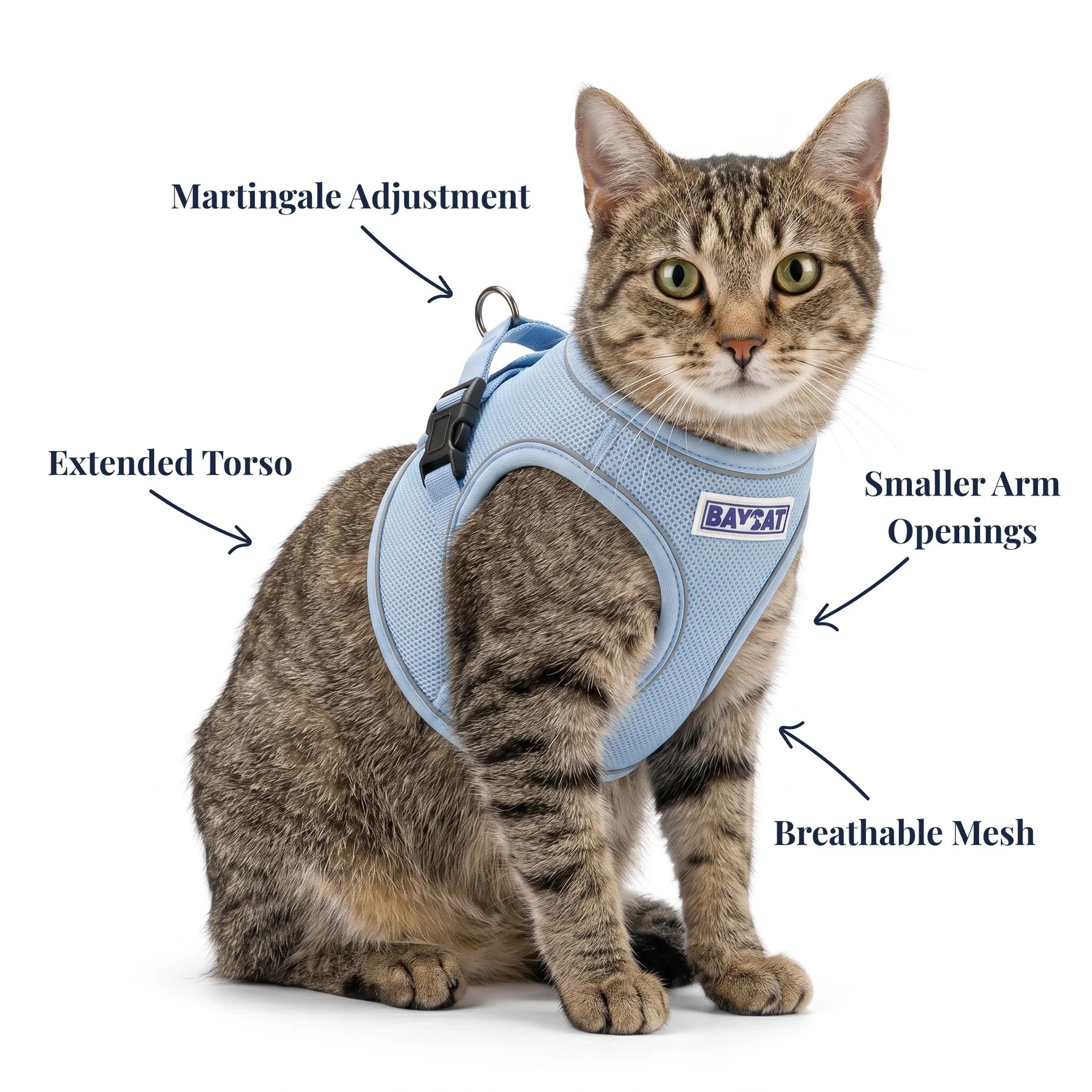 BayDog BAYCAT Harness & Leash Blue Large