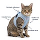 BayDog BAYCAT Harness & Leash Blue XSmall