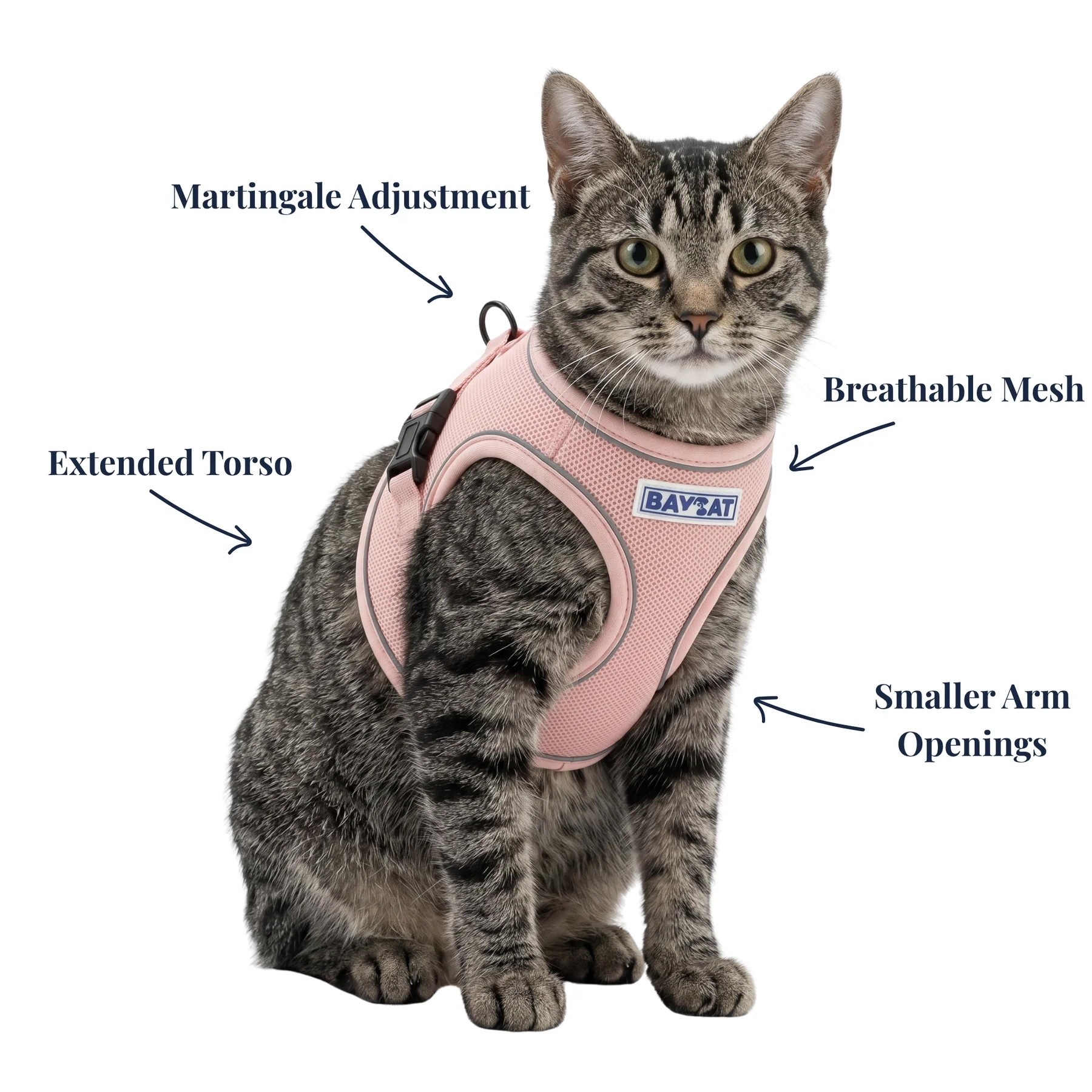 BayDog BAYCAT Harness & Leash Chesapeake Rose Pink Large