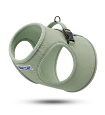 BayDog BAYCAT Harness & Leash Coastal Fern Green Large
