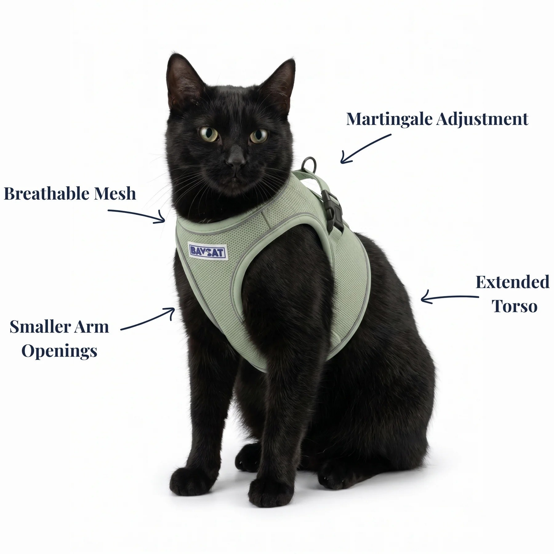 BayDog BAYCAT Harness & Leash Coastal Fern Green Medium