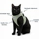 BayDog BAYCAT Harness & Leash Coastal Fern Green Small