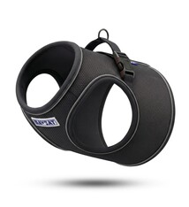BayDog BAYCAT Harness & Leash Covert Black Small
