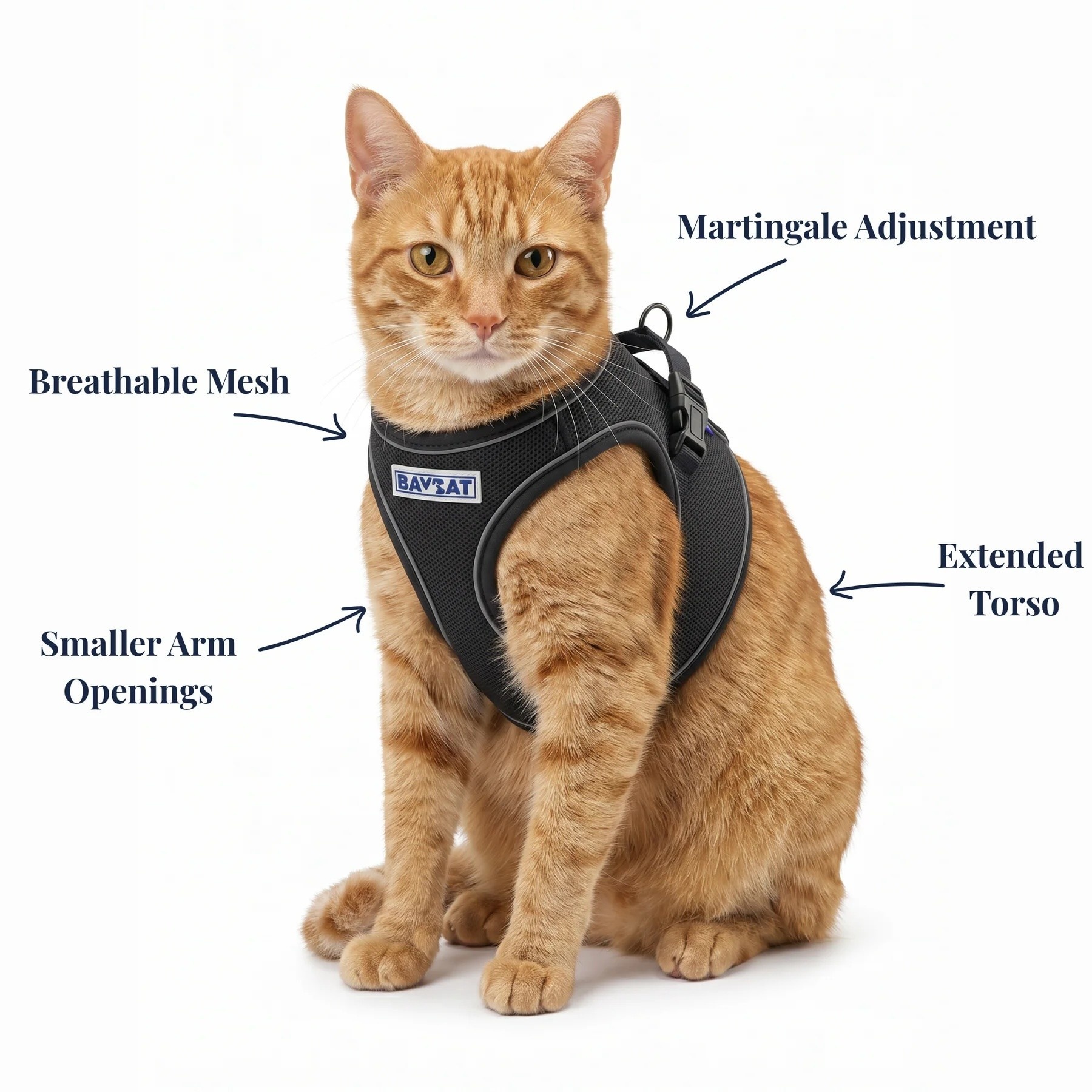 BayDog BAYCAT Harness & Leash Covert Black Medium