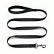 BayDog BAYCAT Harness & Leash Covert Black Medium