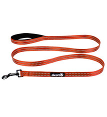 Alcott Alcott Adventure Leash, Medium Neon Orange