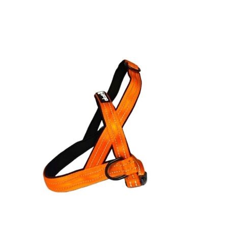 Alcott Alcott Norwegian Harness XL Neon Orange