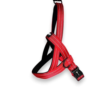 Alcott Alcott Norwegian Harness XXL Neon Red