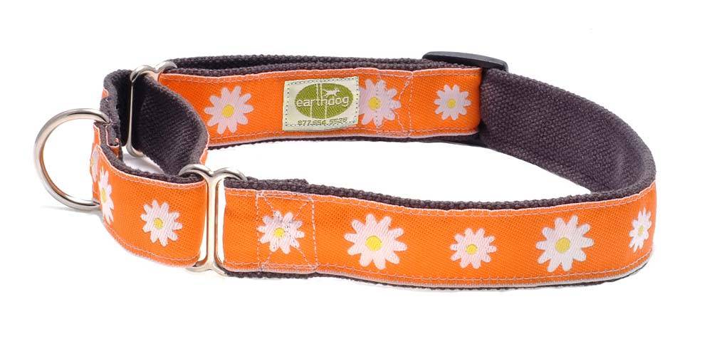 earthdog collars