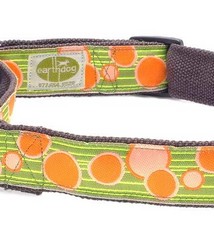 Earth Dog Earth Dog Zander Hemp Martingale Collar