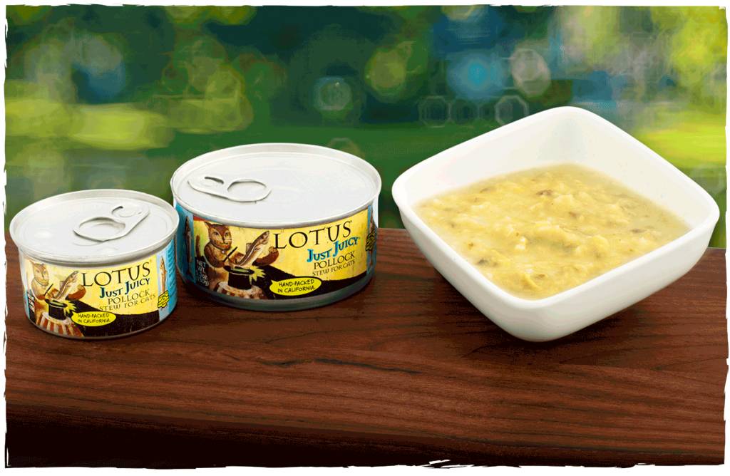 Lotus Pet Foods Lotus Just Juicy Pollock Stew For Cats