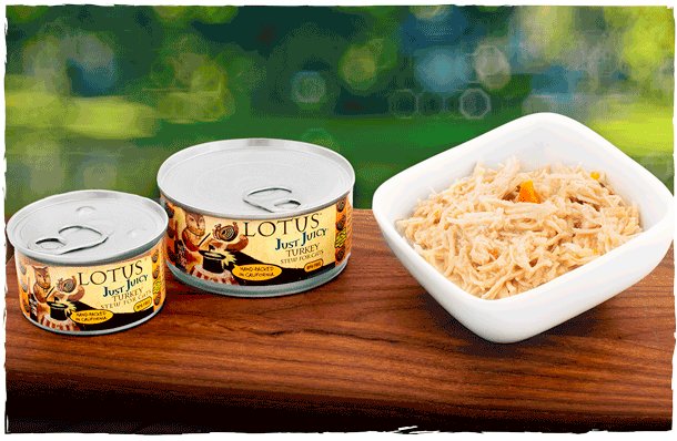 Lotus Pet Foods Lotus Just Juicy Turkey Stew For Cats