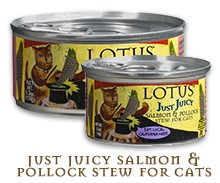 Lotus Pet Foods Lotus Just Juicy Salmon Pollock Stew For Cats