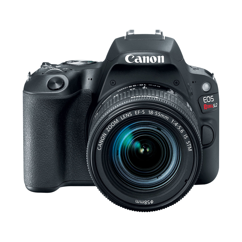 Canon EOS Rebel SL2 24.2MP DSLR Camera with 18-55mm Lens ...