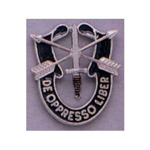 Rothco *Clearance* Special Forces Crest Pin (1541)