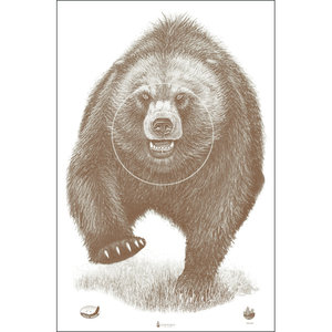 Law Enforcement Targets Alaska State Parks Bear Target (ASP-BB)