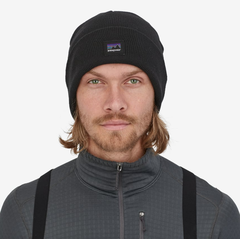 Patagonia Everyday Beanie