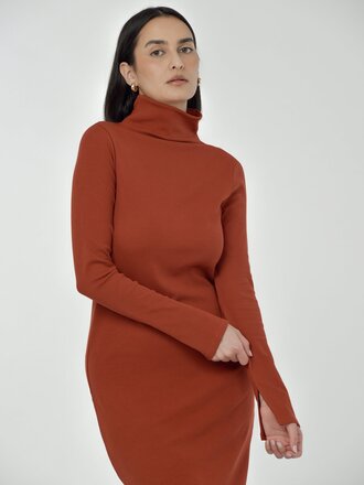 Paper Label Ted Dress