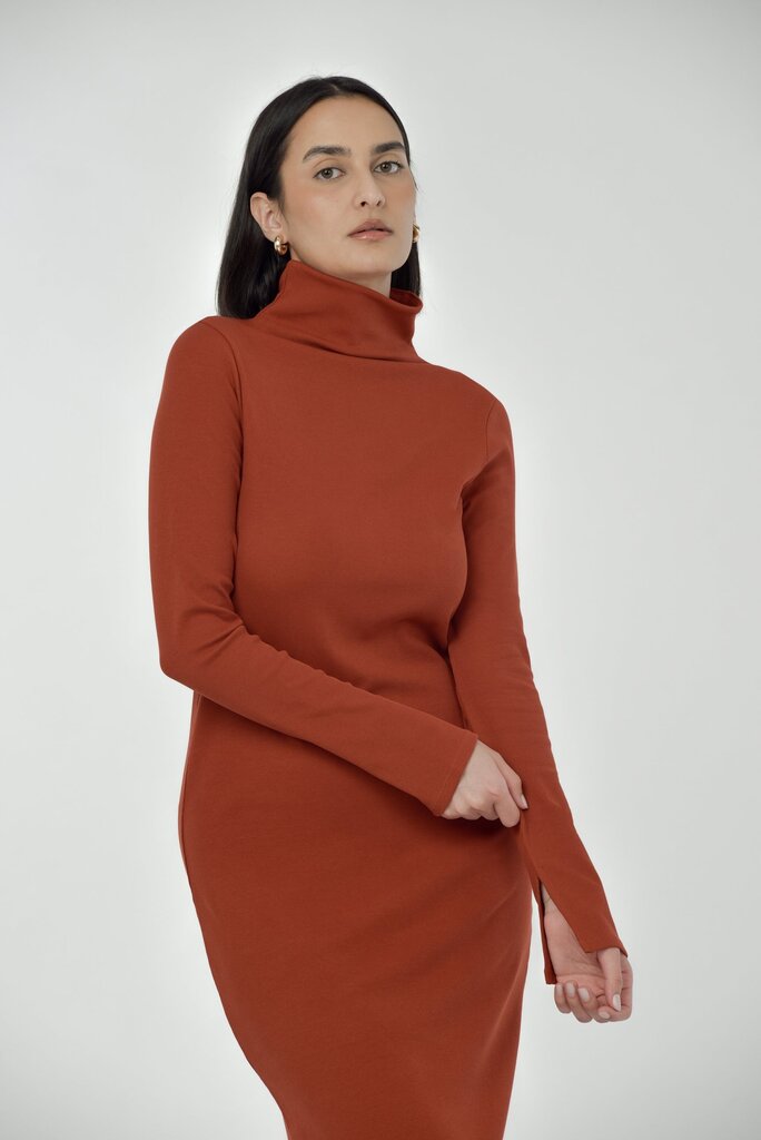 Paper Label Ted Dress