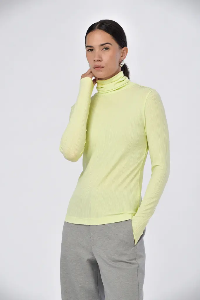 Paper Label Celina Turtle Neck