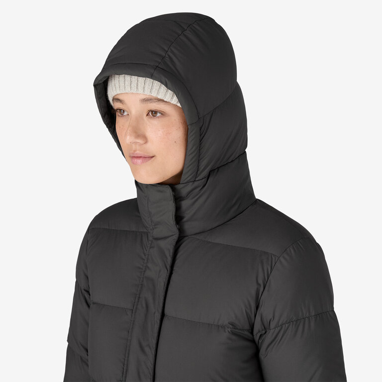 Patagonia W's Silent Down Long Parka