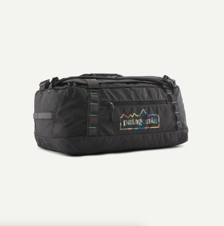 Patagonia Black Hole Duffel 40L