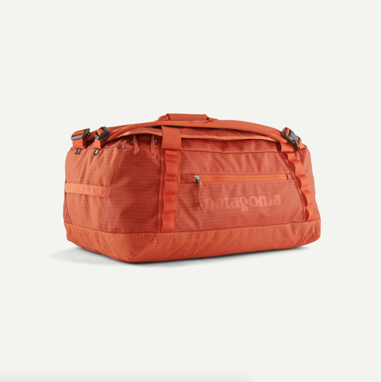 Patagonia Black Hole Duffel 40L