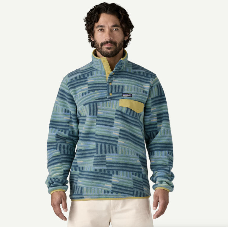Patagonia M's LW Synch Snap-T Fleece P/O