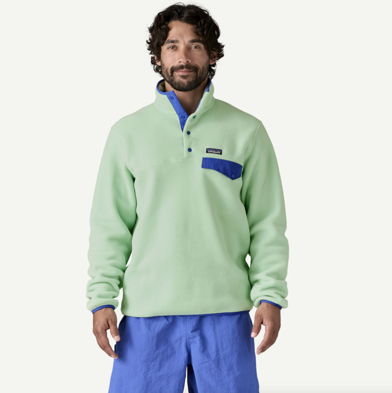 Patagonia M's LW Synch Snap-T Fleece P/O