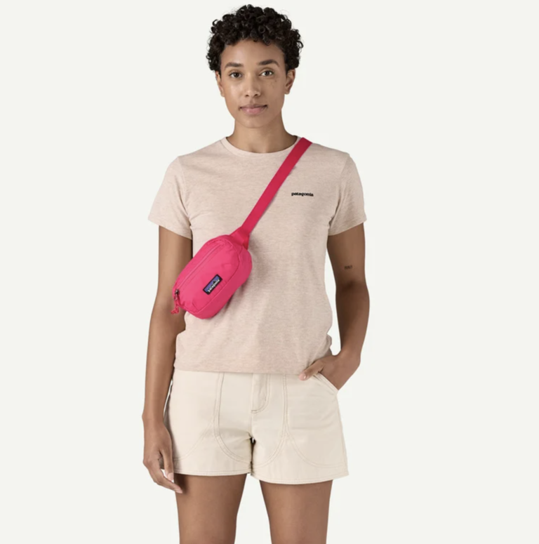 Patagonia Terravia Mini Hip Pack