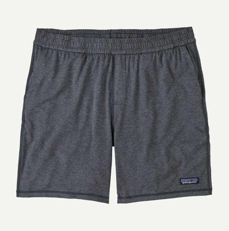 Patagonia M's 2-Loose Shorts