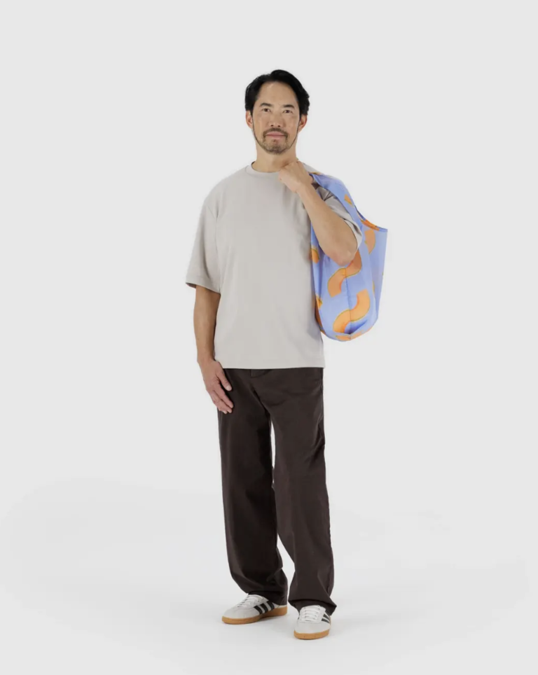 Baggu Standard Baggu - Cantaloupe Blue