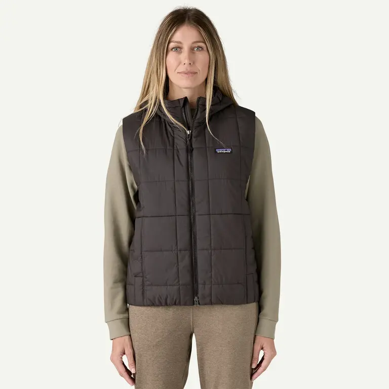 Patagonia W's Light Gust Hooded Vest
