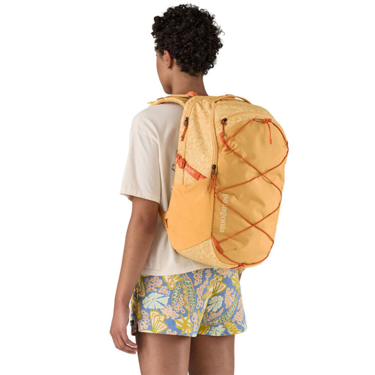 Patagonia Refugio Day Pack 30L