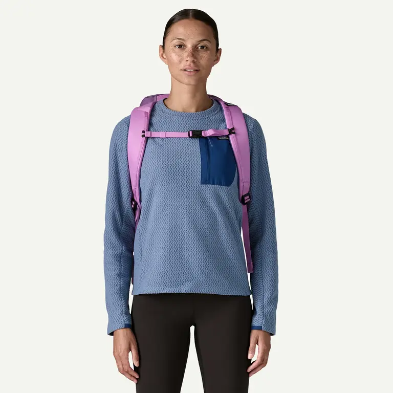 Patagonia Black Hole Pack 25L