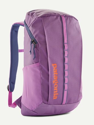 Patagonia Black Hole Pack 25L