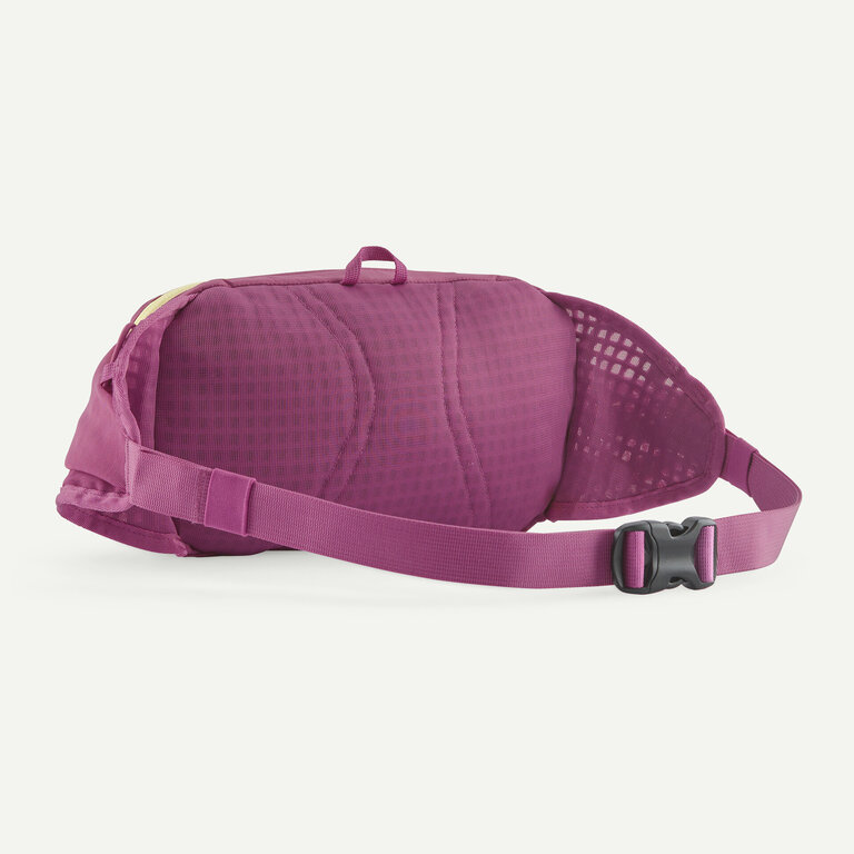 Patagonia Terravia Hip Pack