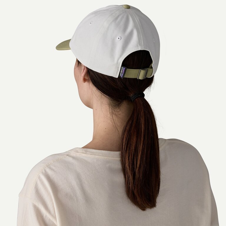 Patagonia Fitz Roy Icon Trad Cap